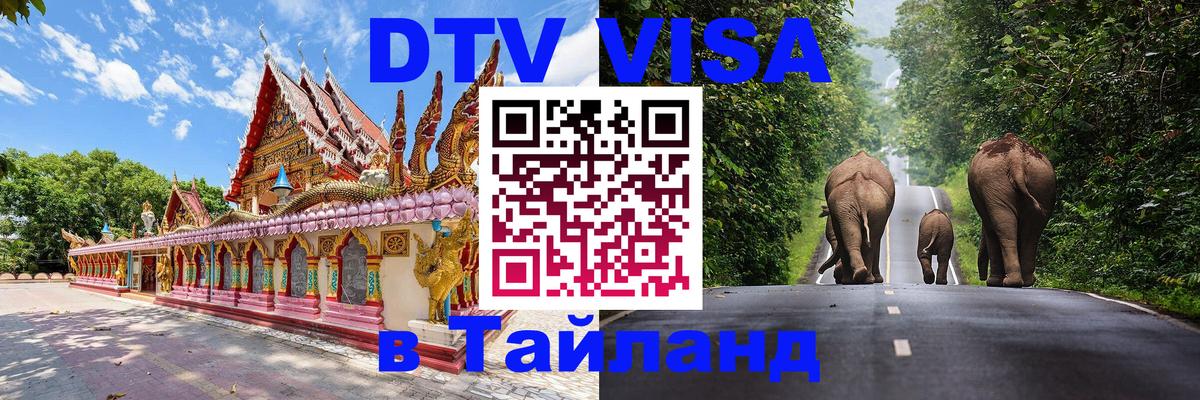 Сколько стоит DTV виза — актуальные цены, оформление даже без документов - 05.10.2025 